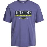 Jack & Jones Jorwalter tee