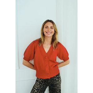 Freequent - FQALPI - Cardigan - Baked Apple