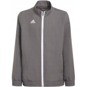Adidas - Entrada 22 - Presentatiejasje - 100% Polyester - Met Lange Mouwen