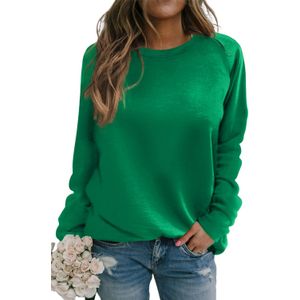 Dames Lange Mouwen Crew Neck Casual Tuniek Top