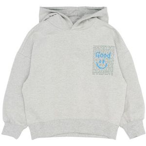 The New jongens hoodie - Grijs