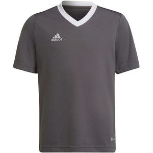 Adidas - Entrada 22 - Trainings Jersey - 100% Gerecycled Polyester