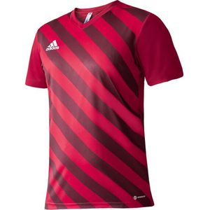 Adidas - Entrada 22 - Grafische Trui - 100% Gerecycled Polyester