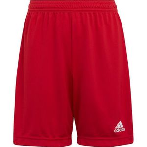 Adidas - Entrada 22 - Korte Broek - 100% Gerecycled Polyester