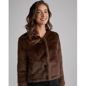 Zhrill Jasje ZJ301-N3096 ZHBELARA Donker bruin