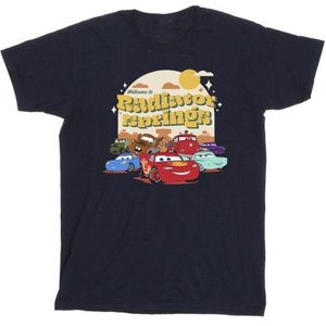 Li-cense Disney heren cars radiator springs groep t-shirt