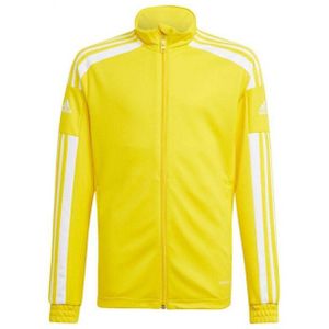 Adidas - Squadra 21 - Trainingsjack - Primegroen - Kinderen