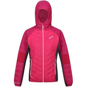 Regatta - Dames Trutton - Lichtgewicht Gewatteerde Jas - Waterdicht