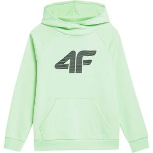 4F - JSS23TSWSM220 - Hoodie - Zwart