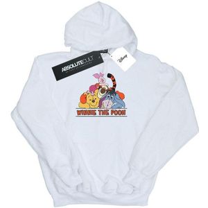 Li-cense Disney jongens winnie de poeh groep hoodie