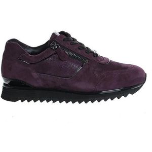 Hassia - 02033 Sneakers - Plum - Leer