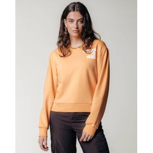 Colourful Rebel Sweat ws415654 logo wave