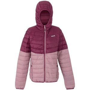 Regatta - Hillpack IV - Gewatteerde Jas - Dames - Lichtgewicht - Waterdicht