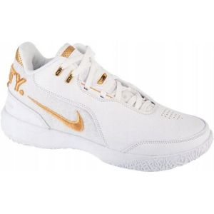 Nike Heren lebron james leren trainers