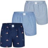 MG-1 - Boxer - Sugar Cane