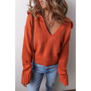 V-hals Lange Mouwen Trui