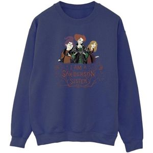 Li-cense Disney heren hocus pocus sanderson zuster sweatshirt