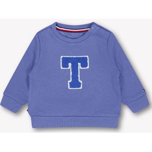 Tommy Hilfiger Baby jongens trui in