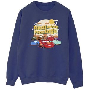 Li-cense Disney heren cars radiator springs groep sweatshirt