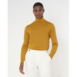 Dutch Dandies - Caine - Coltrui - Goud