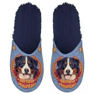 Pantoffel bernese mountain dog donkerblauw