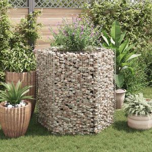 VidaXL Gabion Plantenbak Verhoogd Zeshoekig 100x90x100 cm