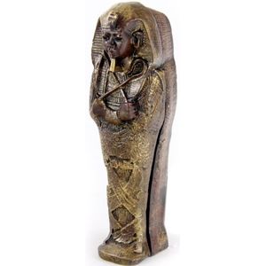 Egyptische Sarcofaag Woonaccessoire