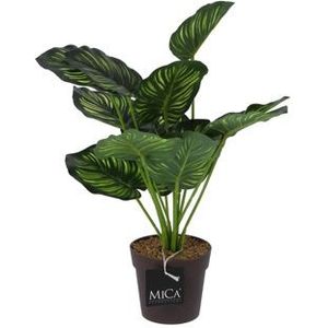 Mica Decorations kunstplant calathea in pot groen 40 cm