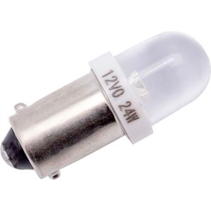 SPAHN kogellamp led lamp t10 12v 4w ba9s blister pack