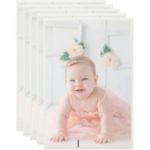 VidaXL Fotolijsten 5 st voor tafel 21x29,7 cm mdf zilverkleurig