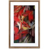 NETGEAR MC321HW digitale fotolijst Walnoot 54,6 cm (21.5") Wifi