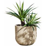 Sierpot - Antiek-finish - Groot - Kunststeen - Tijdloos Ontwerp