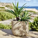 Sierpot - Antiek-finish - Groot - Kunststeen - Tijdloos Ontwerp