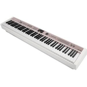 NPK-20 Professionele Digitale Piano