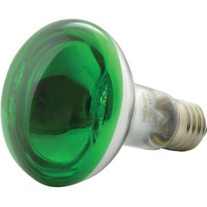 QTX R80 Groen Gekleurde reflectorlamp E27