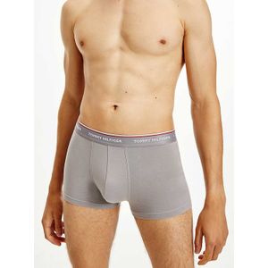 Tommy Hilfiger - 3P TRUNK DTM - 0SC
