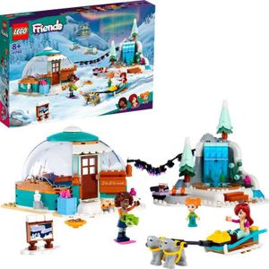 LEGO Friends - Iglo vakantieavontuur constructiespeelgoed 41760