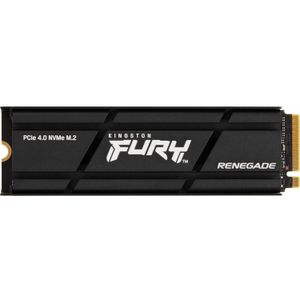 Kingston FURY Renegade met Heatsink 500 GB ssd SFYRSK/500G, M.2 2280, PCIe 4.0 NVMe
