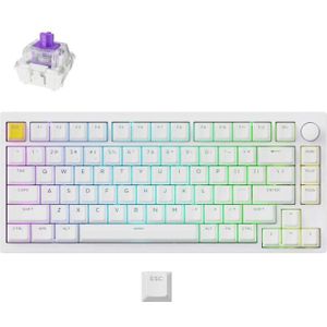 Lemokey P1 HE-P1 Wireless Magnetic Switch Custom Gaming Keyboard gaming toetsenbord