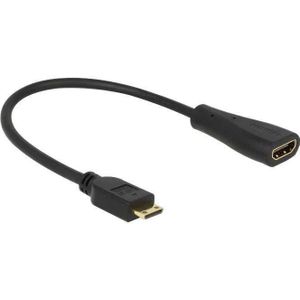 DeLOCK Mini HDMI C > HDMI A adapter 0,23 meter