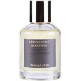 Vanagloria eau de parfum 100 ml