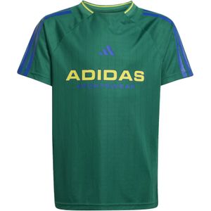 Kindertrui adidas House of Tiro