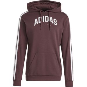 Hoodie adidas Codes Collegiate Graphic