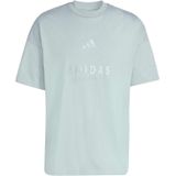 T-shirt met geborduurd grafiek adidas All Szn