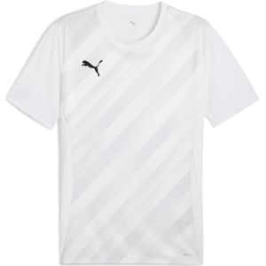 Kindertrui Puma teamGoal Graphic