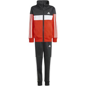 adidas - Tiberio 3-Stripes Colorblock - Trainingspak - Glitter