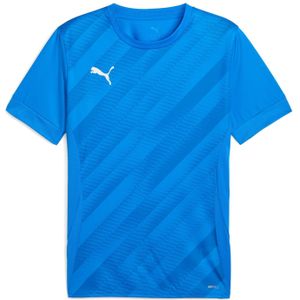 Jersey Puma teamGoal Graphic