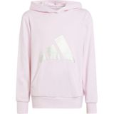 Adidas - Seasonal Essentials - Hoodie - Multicolor - 55% Katoen, 36% Gerecycled Polyester, 9% Viscose