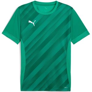 Kindertrui Puma teamGoal Graphic