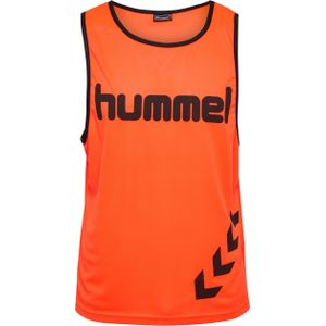 Kazuifel Hummel Training Fundamental